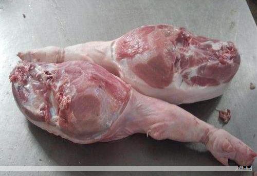 异种器官移植正从科幻走向现实，近年来的突破数量远超此前一个世纪的积累。基因编辑猪肾在一名患者体内表现出长期的功能性表现，尽管最终因肾功能衰退而被移除，患者仍重新进入透析治疗，相关进展引发广泛关注。与此同时，历史上也出现过靠近一年左右存活的灵长类肾移植案例，显示出不同物种之间的免疫与生物适配关系具有复杂性。当前的核心问题是如何在尽量降低排斥的前提下实现更稳定、持续的功能供给。