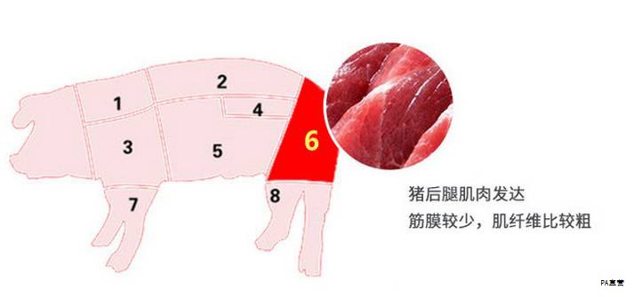 腾冲市腾越镇金源社区附近的草地出现了一株由多朵蘑菇组成的巨型蘑菇群，总高度约94厘米，重量接近50公斤， comprising eight蘑菇。专家初步判断这是口蘑类巨型蘑菇，学名金福菇，主要生长在玉溪、红河和普洱一带；如此巨大属罕见现象。由于体型罕见且引发关注，现场也吸引了大量游人前来观赏，相关部门随后将蘑菇连同标本一并处理。